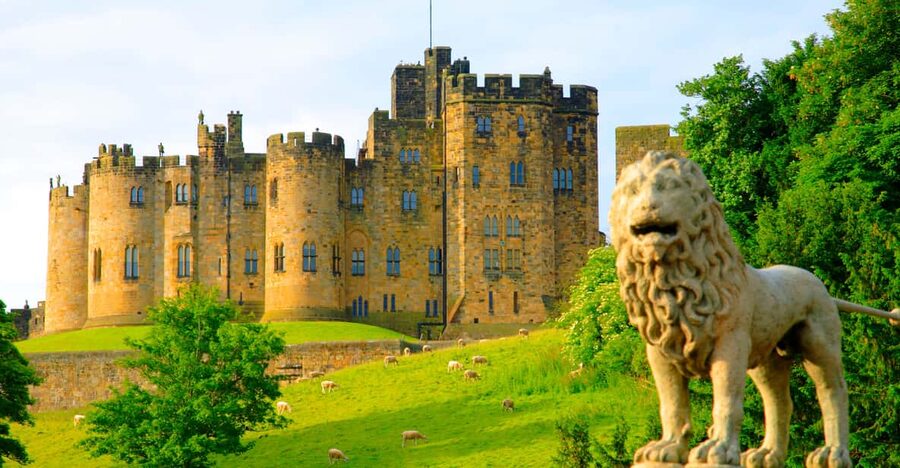 Alnwick: Alnwick Castle Ticket - The State Rooms and their remarkable art