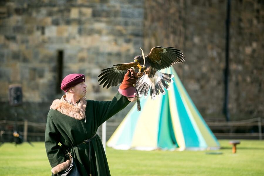 Alnwick: Alnwick Castle Ticket - Museums, exhibitions, and living history