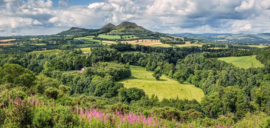 Alnwick Castle, Northumberland & Scottish Borders 1-Day Tour - Why this day is more than a castle bus ride