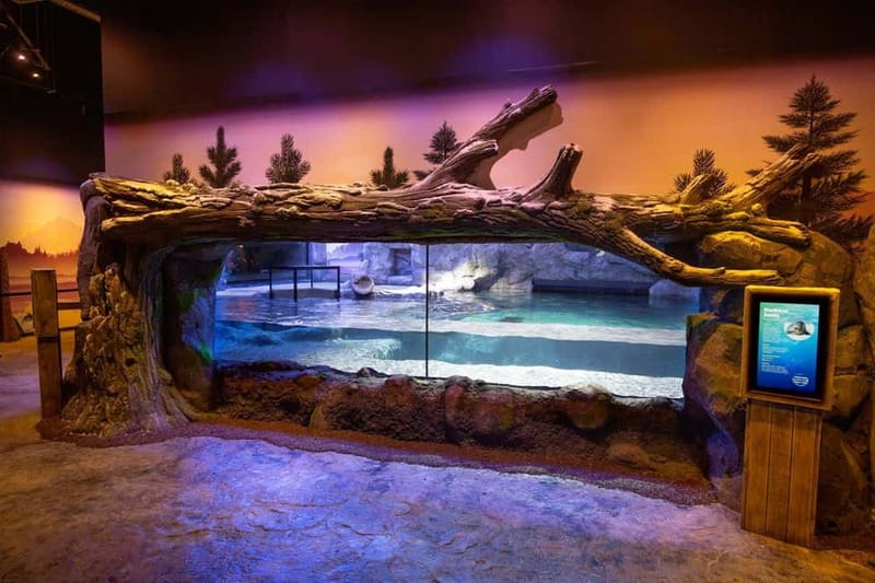 Birmingham: National Sea Life Centre Entrance Ticket - Why the Birmingham SEA LIFE Centre Works Well for a Family Day