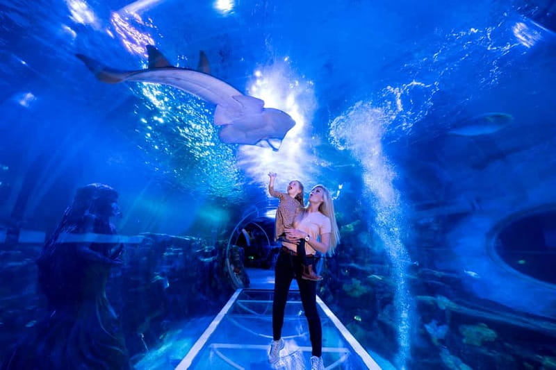 Birmingham: National Sea Life Centre Entrance Ticket - The 360° Ocean Tunnel With Sharks and Rays