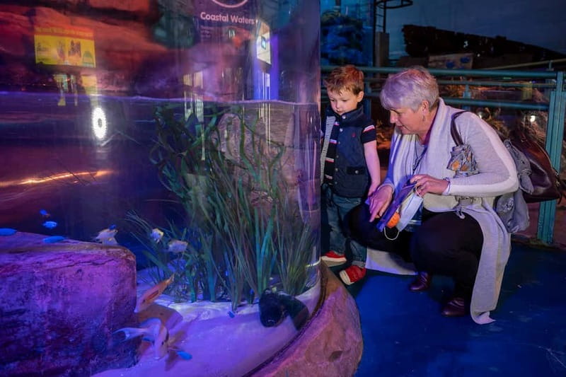 Birmingham: National Sea Life Centre Entrance Ticket - The Interactive Rockpool