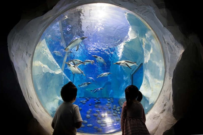 Birmingham: National Sea Life Centre Entrance Ticket - The 4D Cinema Adds a Short Change of Pace