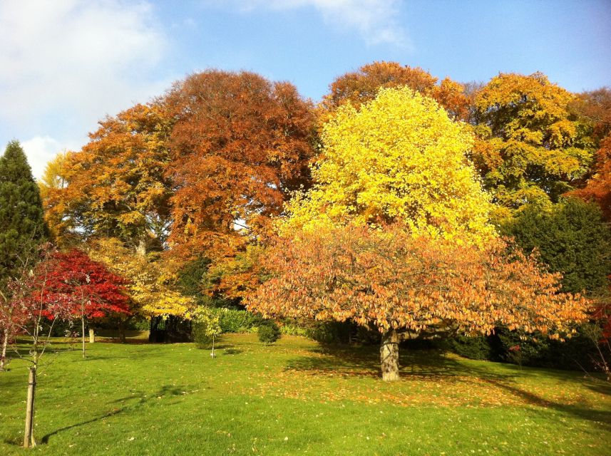 Birmingham: Winterbourne House and Garden Admission Ticket - Key points to know