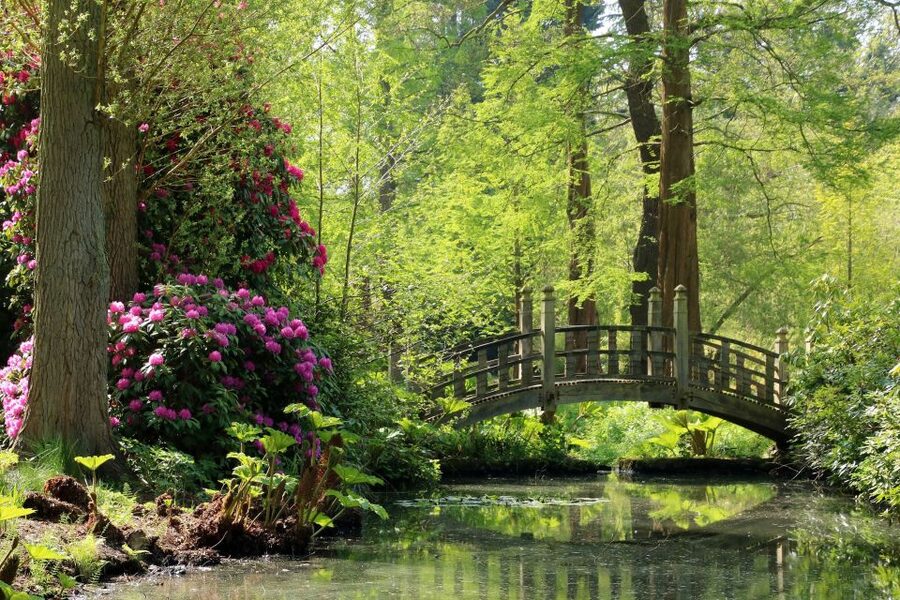 Birmingham: Winterbourne House and Garden Admission Ticket - The gardens: seven acres with plenty to inspect
