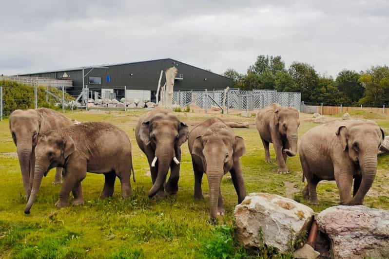 Blackpool: Zoo Admission Ticket - Key points for planning your zoo day