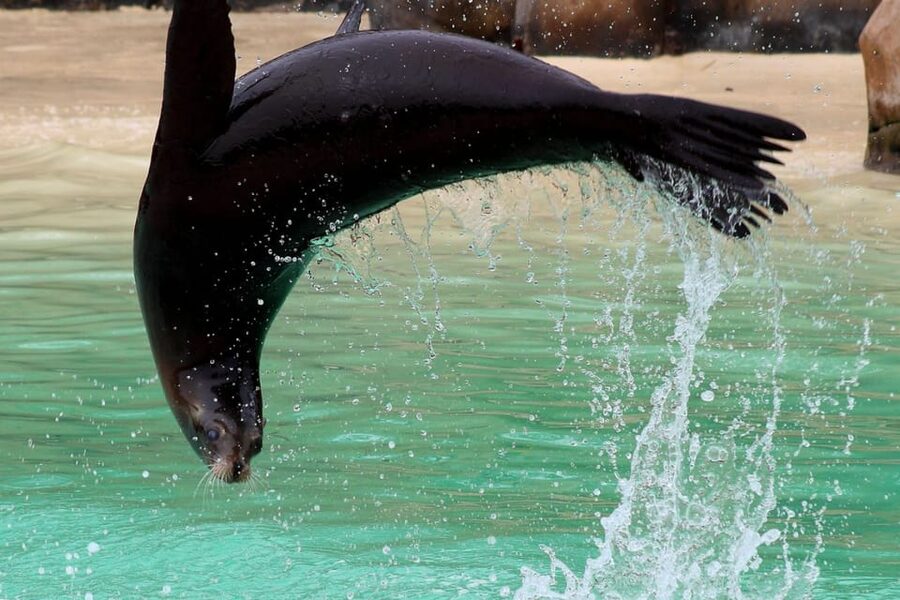 Blackpool: Zoo Admission Ticket - Tickets and arrival details