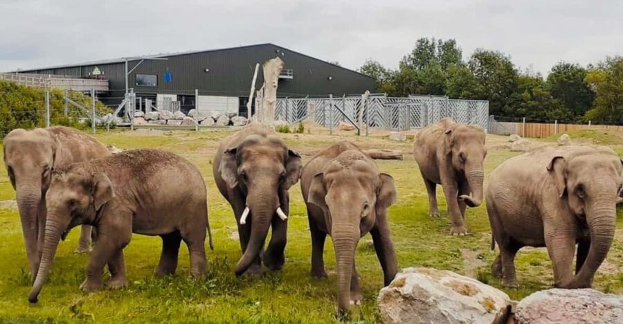 Blackpool: Zoo Admission Ticket - Project Elephant Base Camp is the main event
