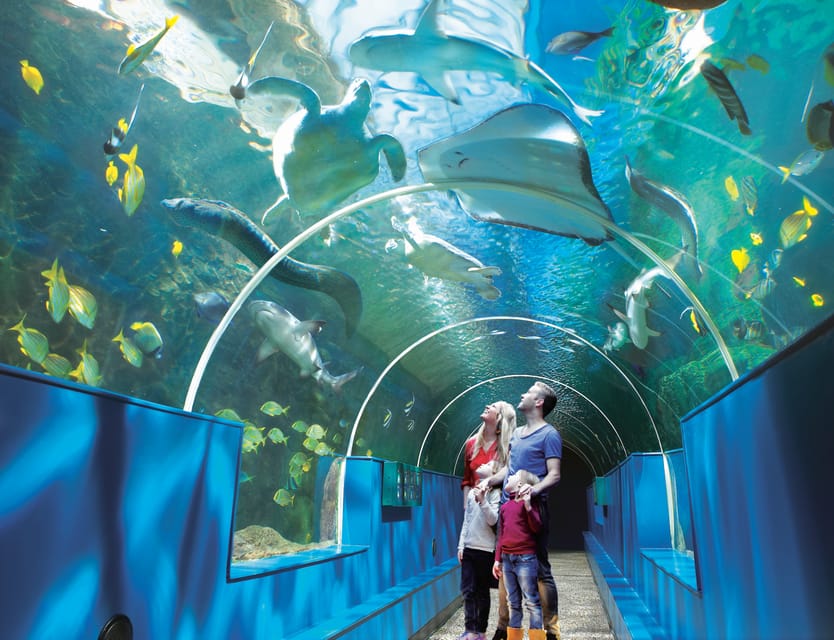 Bournemouth Oceanarium Ticket - How long should you allow?
