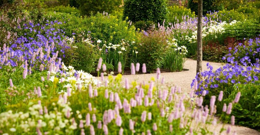 Bridgewater: Royal Horticultural Society Garden Ticket - Entering through the Worsley Welcome Garden