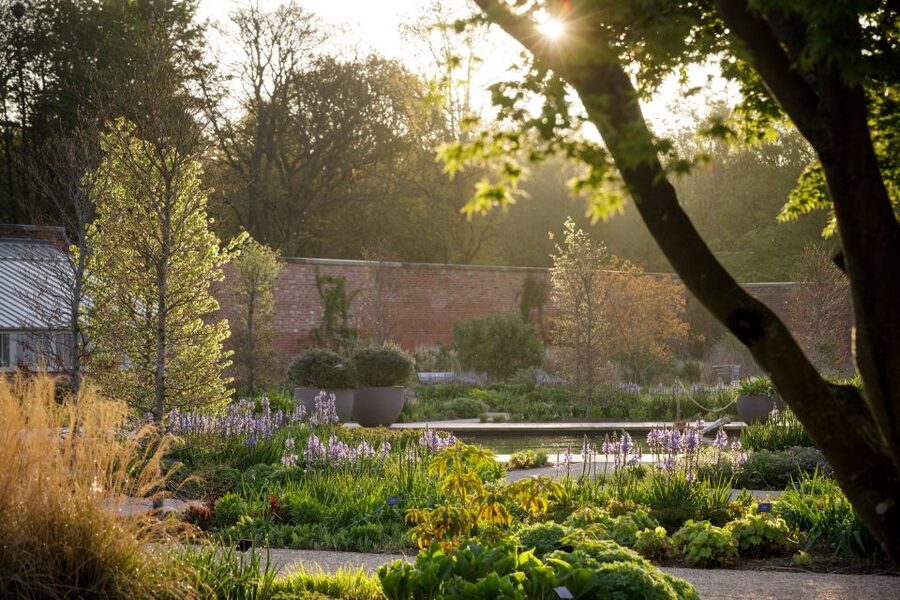 Bridgewater: Royal Horticultural Society Garden Ticket - The Paradise Garden’s bold mix of plants