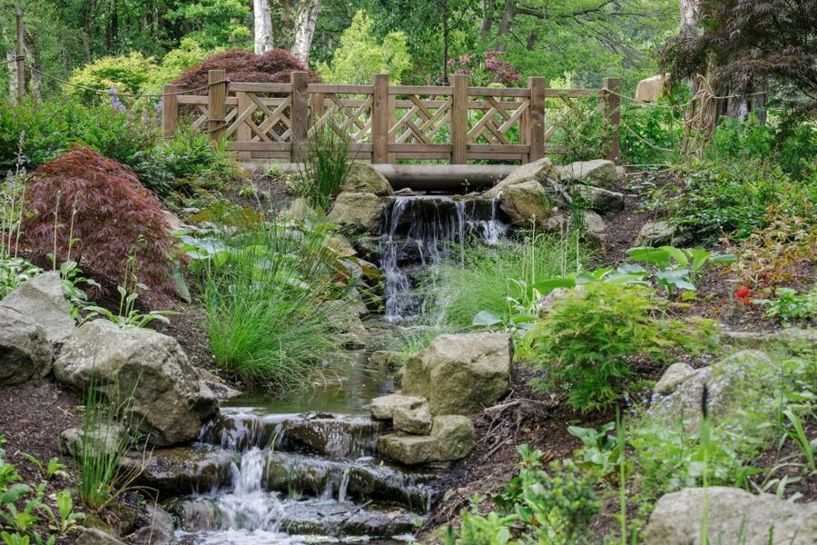 Bridgewater: Royal Horticultural Society Garden Ticket - The Kitchen Garden brings food into the picture