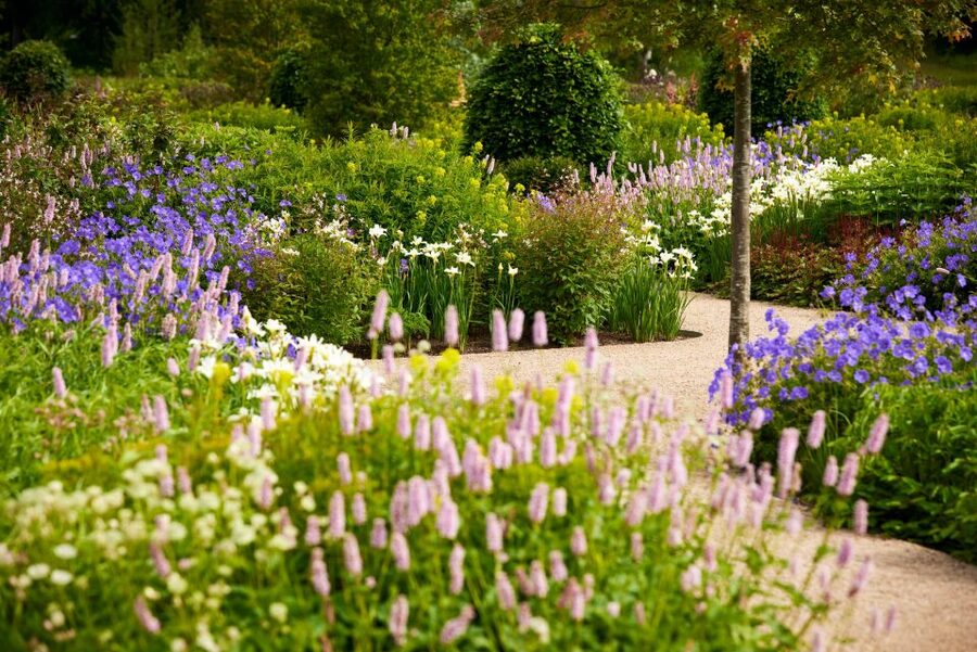 Bridgewater: Royal Horticultural Society Garden Ticket - Finding the former Worsley New Hall site