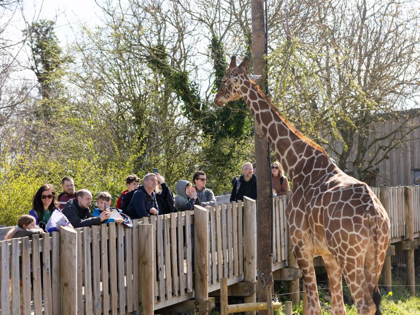 Bristol: Bristol Zoo Project Entry Ticket - Key points to know before you go