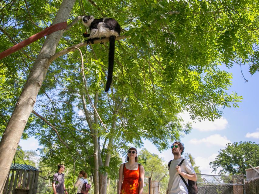 Bristol: Bristol Zoo Project Entry Ticket - Make conservation part of the visit