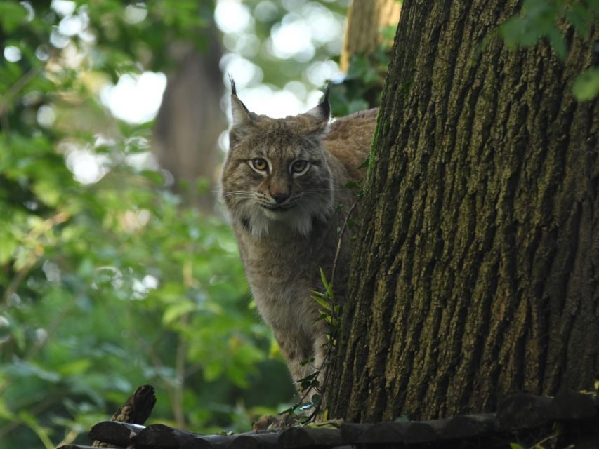 Bristol: Bristol Zoo Project Entry Ticket - Access, arrival, and useful restrictions
