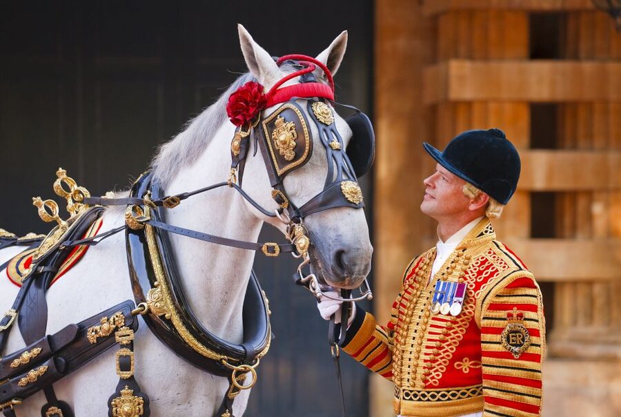 Buckingham Palace: The Royal Mews Entrance Ticket - What the Royal Mews actually is