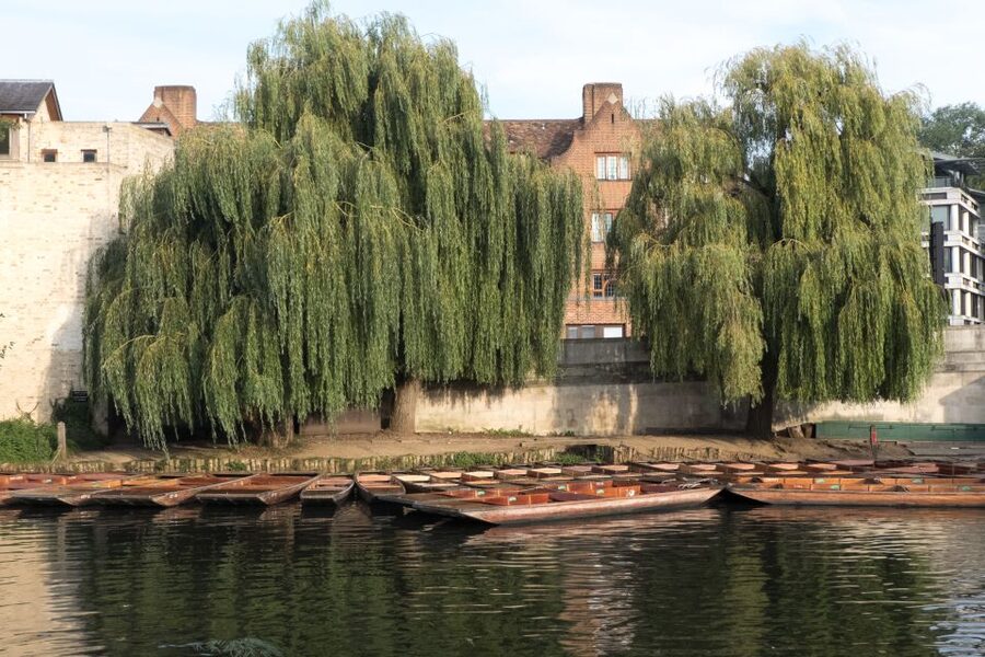 Cambridge: Punting Tour on the River Cam - The Bridge of Sighs: A Memorable Finish