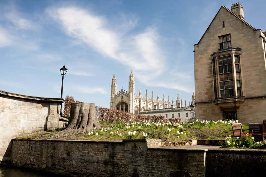 Cambridge: Punting Tour on the River Cam - Starting at Scudamore’s Mill Lane