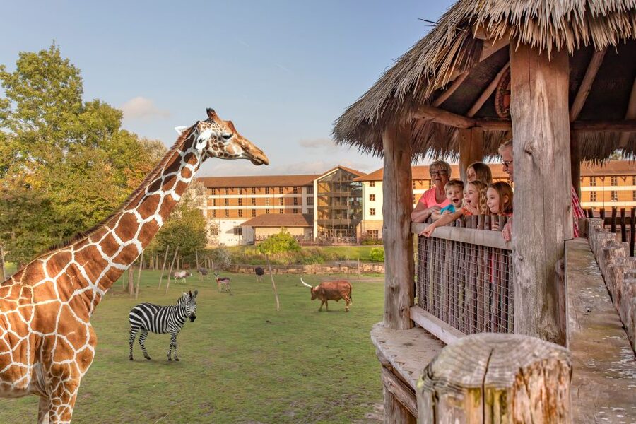 Chessington World of Adventures Resort: Entrance Ticket - Ten themed lands, from ancient kingdoms to dragons