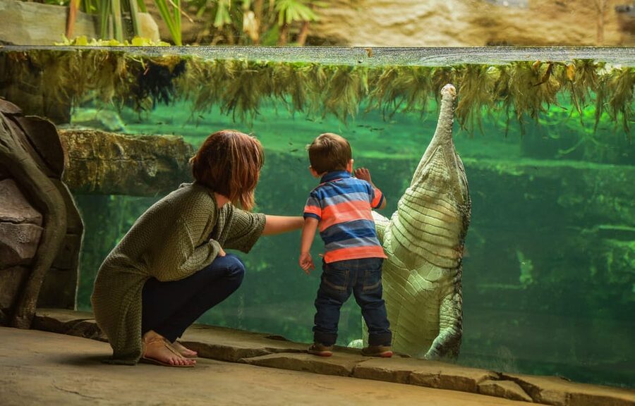 Chester: Chester Zoo Entry Ticket - Food, picnics, and the real cost of the day