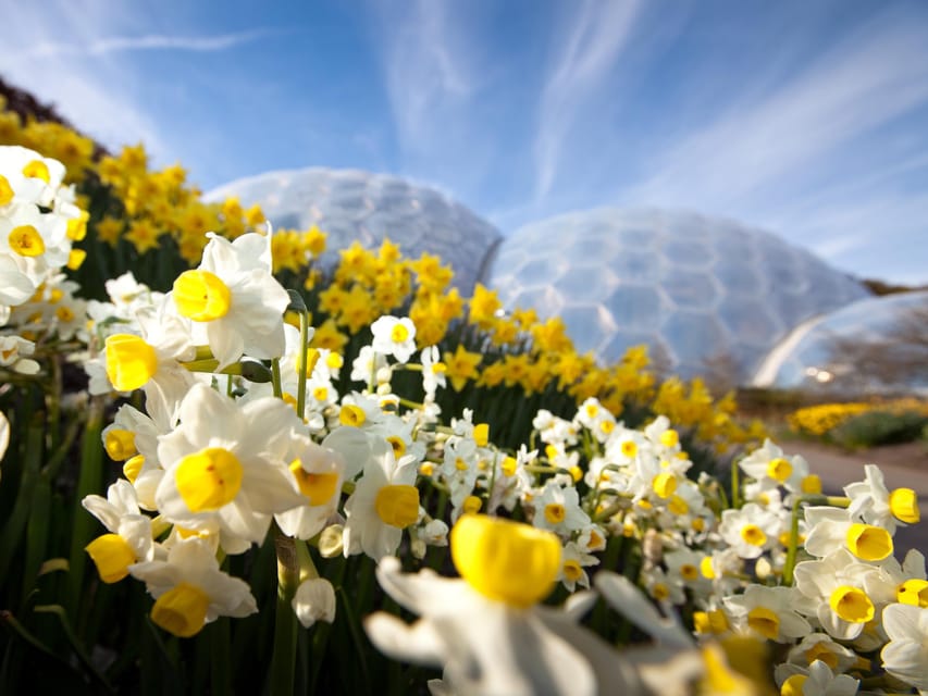 Cornwall: Eden Project Entry Ticket - Who will enjoy Eden Project most?