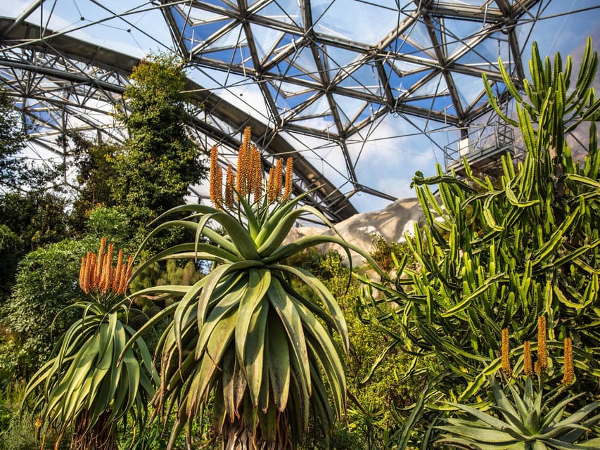Cornwall: Eden Project Entry Ticket - Is the $51 ticket good value?