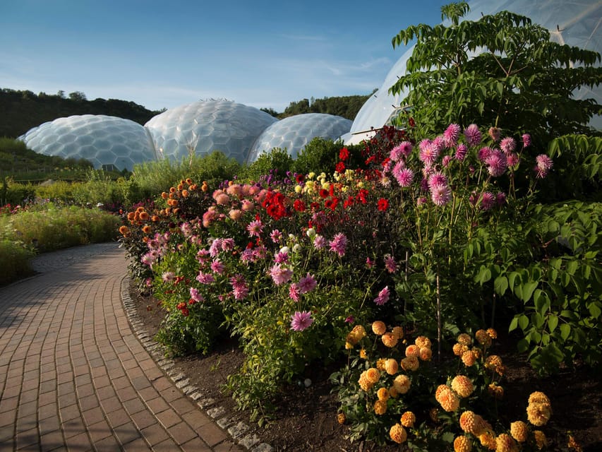 Cornwall: Eden Project Entry Ticket - Inside the Mediterranean Biome