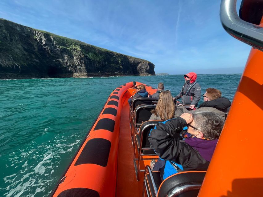 Cornwall: Guided Seal Safari by Boat - Key points to know before booking
