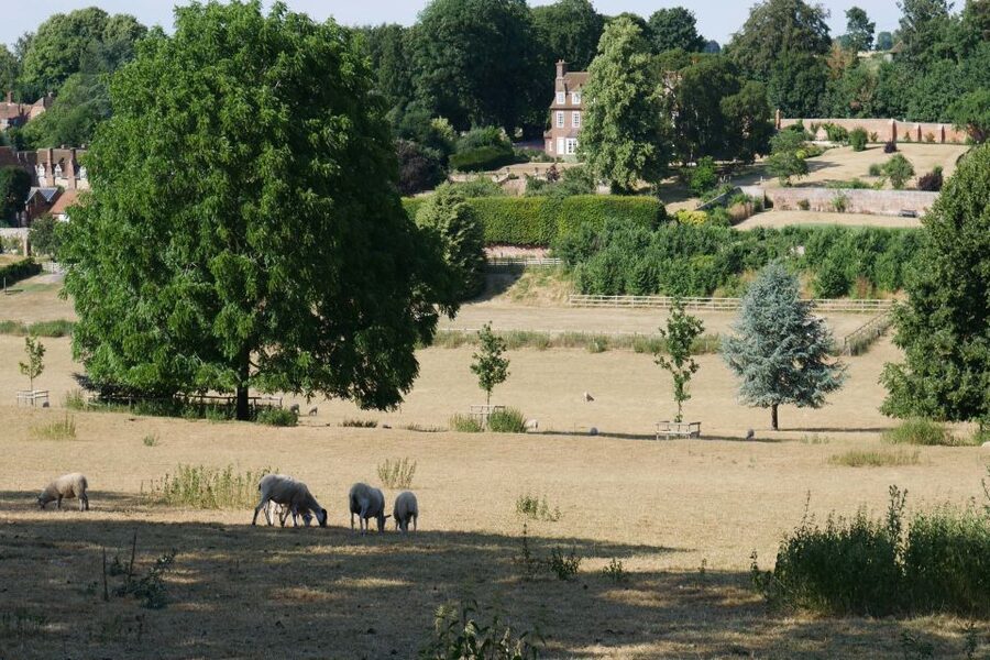 Day-Tour of the Midsomer Murders Locations - Is $114 a fair price?