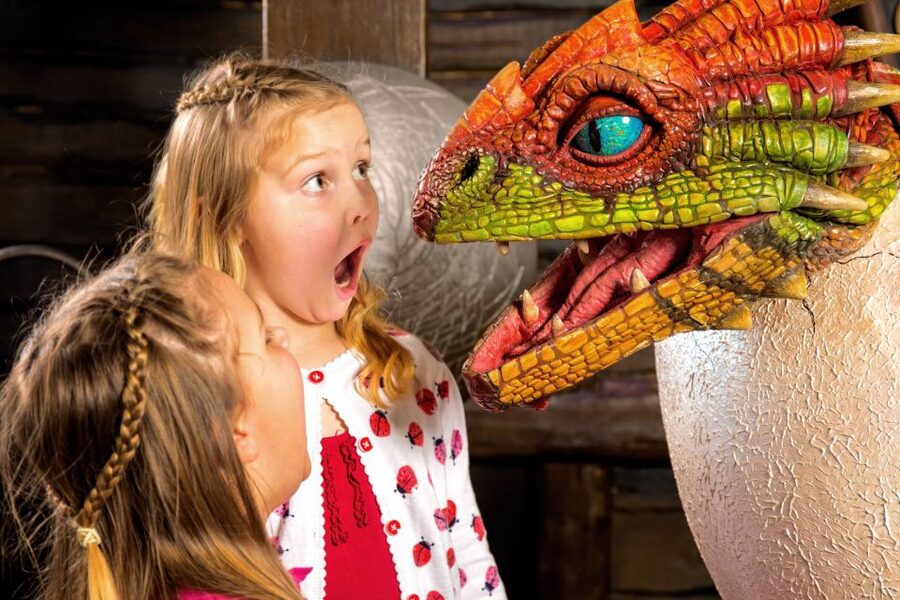 DreamWorks Shrek's Adventure and London Eye: Combo Ticket - Who will enjoy this combo most?