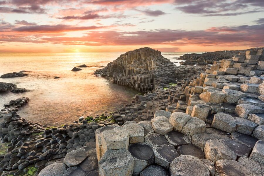 Dublin: Giant's Causeway, Dark Hedges & Titanic Guided Tour - Walking beneath the Dark Hedges