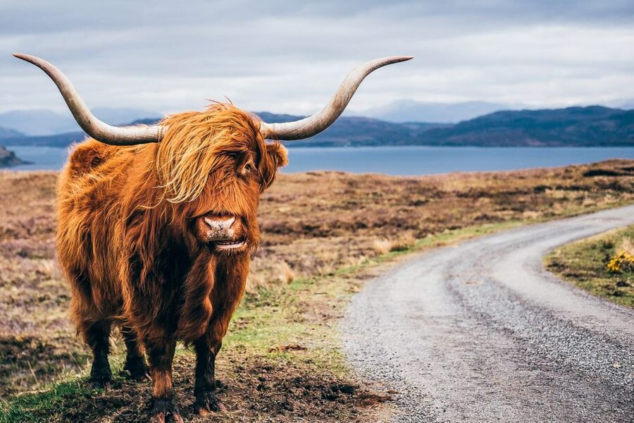 Edinburgh: 3-Day Isle of Skye, Highlands, and Loch Ness Tour - Key points to know before booking