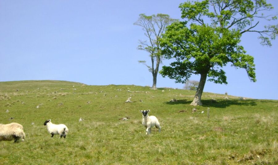 Edinburgh: Hill & Nature Hike With a Local - Is $116 a fair price?