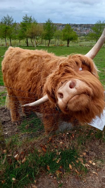 Edinburgh: Hill & Nature Hike With a Local - Celtic history beneath the open hills