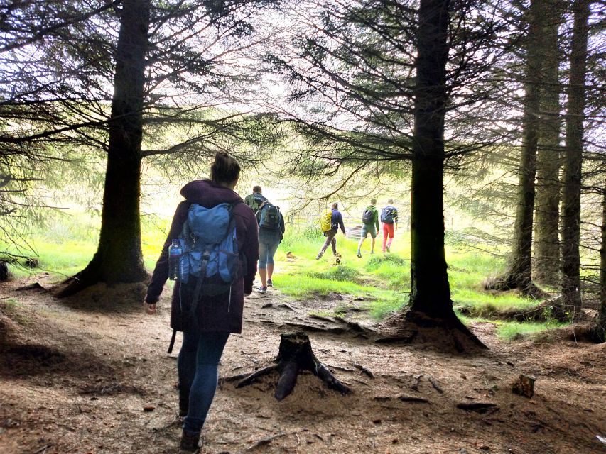 Edinburgh: Hill & Nature Hike With a Local - Rishi’s guiding style and the pace of the group