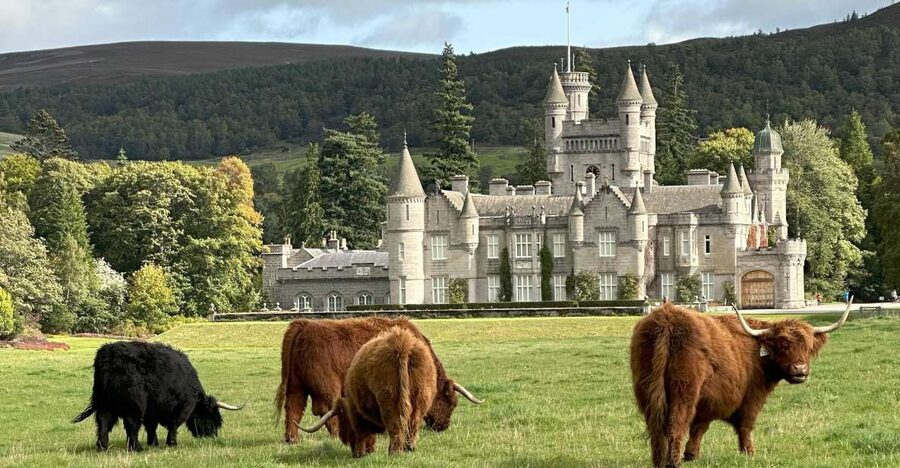From Aberdeen: Balmoral Estate & Royal Deeside Tour - Is the $134 price fair?