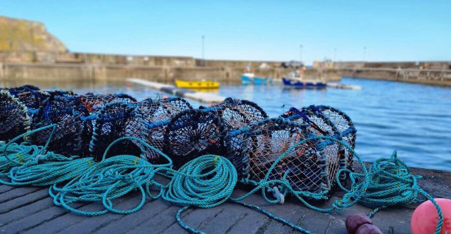From Aberdeen: Coastal Villages of Aberdeenshire Tour - Pennan and Fraserburgh: film fame beside working coast