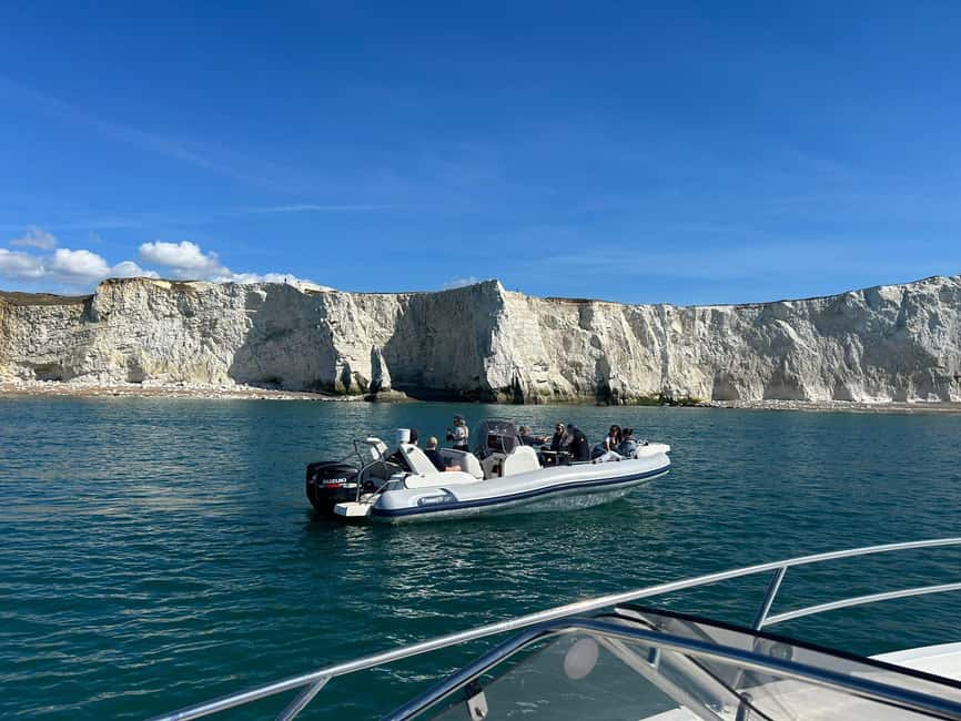 From Brighton: Seven Sisters Boat Tour - Wildlife spotting along the Sussex coast
