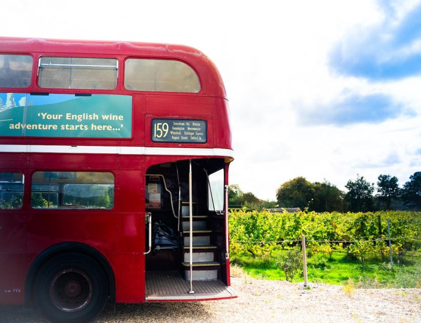 From Brighton: Sussex Wine Tour on a Vintage Bus with Lunch - The second vineyard and a quieter afternoon visit