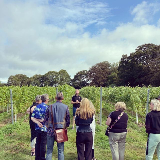 From Brighton: Sussex Wine Tour on a Vintage Bus with Lunch - Is $197 a fair price?