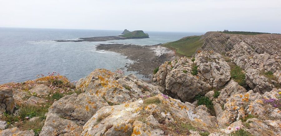 From Cardiff: Mumbles and Gower Peninsular Tour - Lunch, facilities, and the rhythm of the day