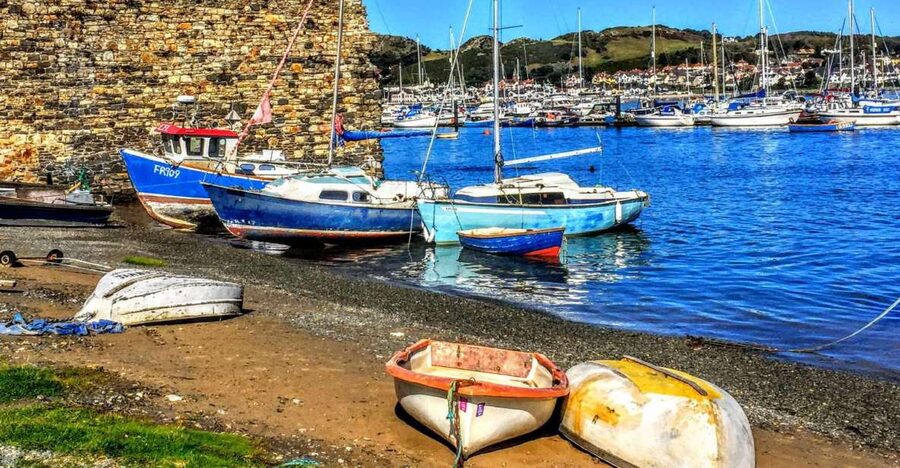 From Chester: Full-Day Guided North Wales Sightseeing Tour - Who should book this day tour?