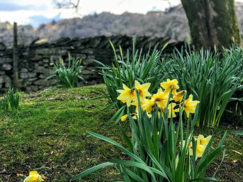 From Chester: Lake District Full-Day Guided Sightseeing Tour - Key points to know before booking
