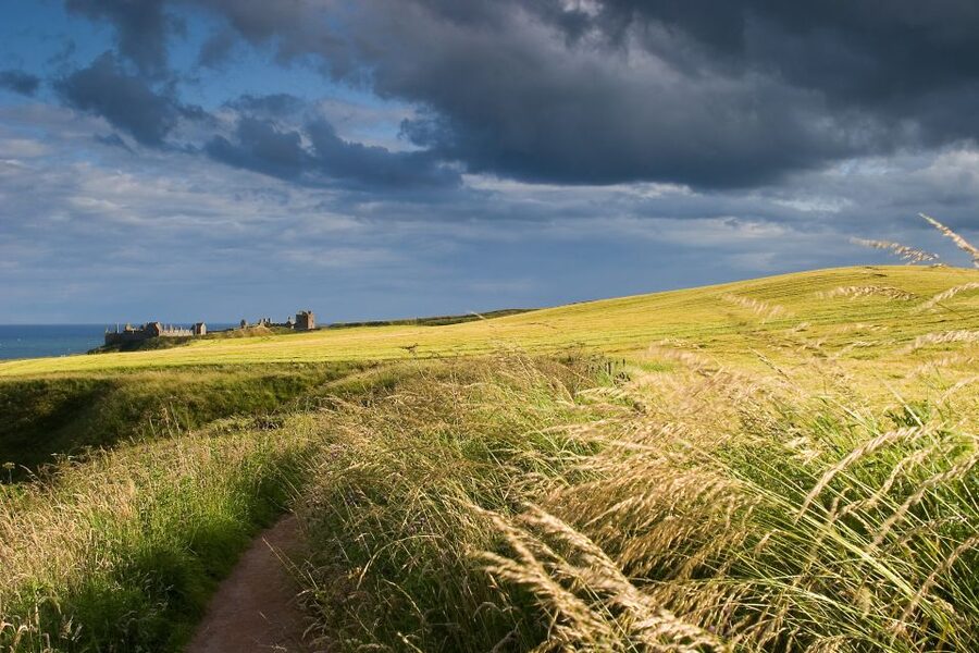 From Edinburgh: Glamis and Dunnottar Castles Tour in Italian - Dunnottar Castle and the North Sea cliffs