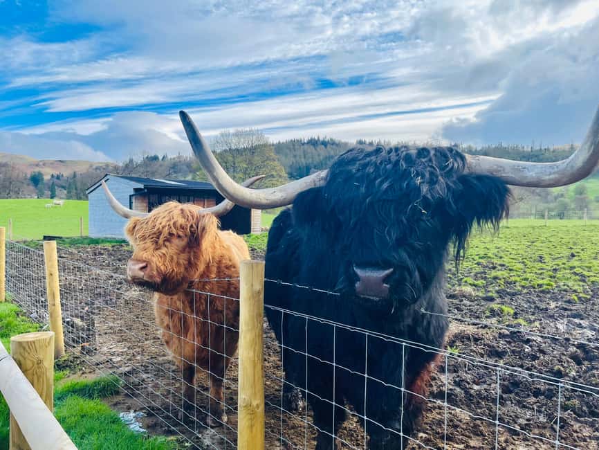 From Edinburgh: Loch Ness, Glencoe & The Highlands Day Trip - Loch Tulla and the first big Highland views