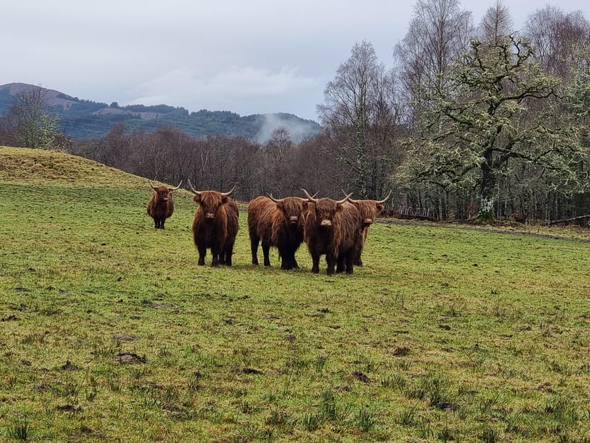 From Edinburgh: Loch Ness Private Day Tour with Transfers - Glen Orchy and Glencoe in brief stops