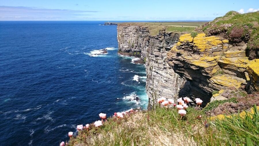 From Edinburgh: Orkney and The Far North 5-Day Tour - Day 2: The Moray Firth, ferry views, and wartime Orkney