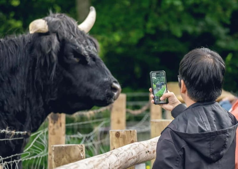 From Edinburgh: Stirling Castle, Kelpies and Loch Lomond - At a glance