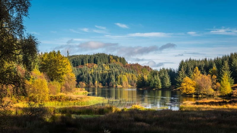 From Edinburgh: Stirling Castle, Kelpies and Loch Lomond - Aberfoyle and Duke’s Pass: the scenic heart of the day